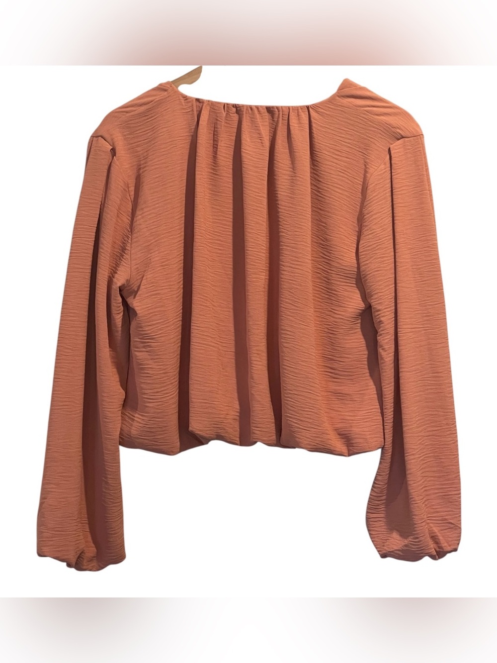 Bishop + Young Bubble Hem Long-Sleeve Blouse, Cropped, V Neck, Pink, Size M - Picture 3 of 16